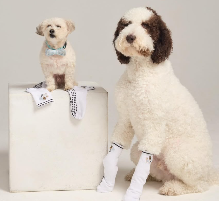 Special Edition - Dog Mom Grip Sock